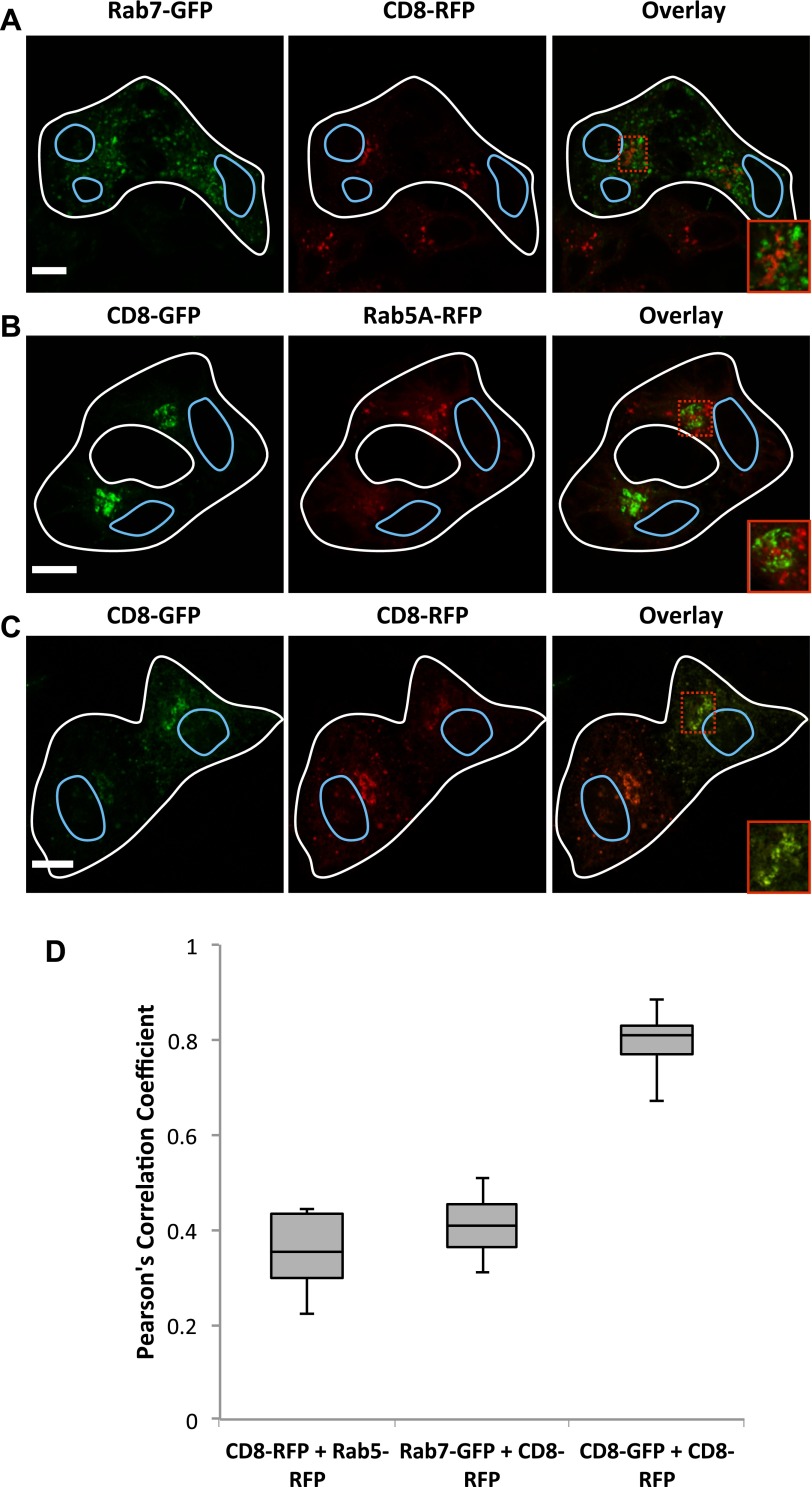 Figure 4—figure supplement 1.