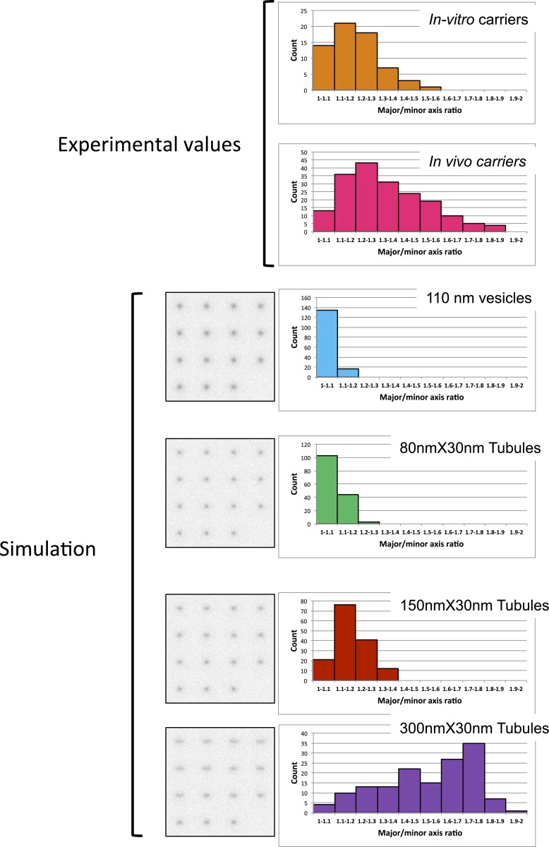 Figure 7—figure supplement 2.