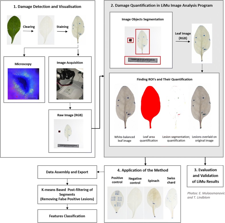 Fig. 1