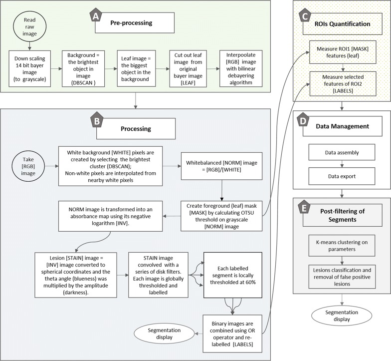 Fig. 2
