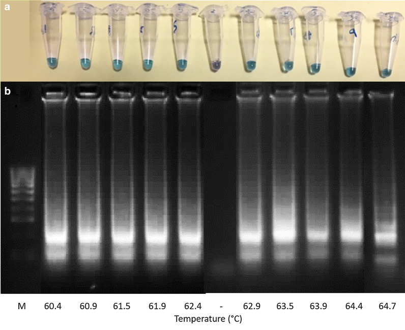 Fig. 4