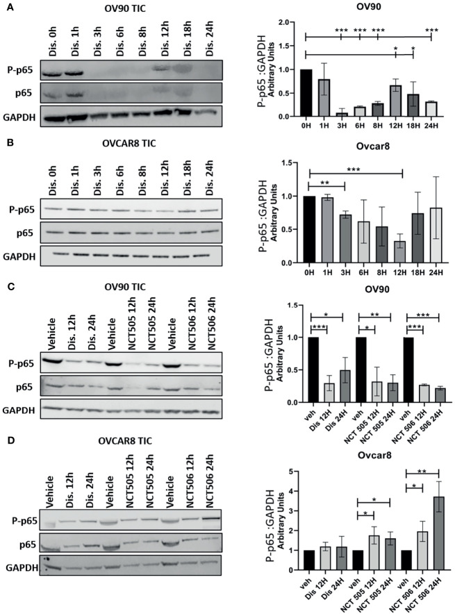 Figure 6