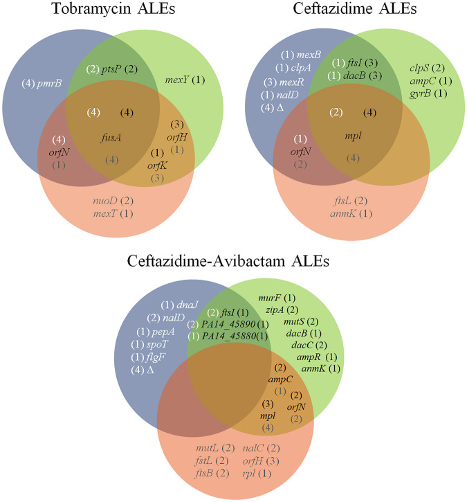 FIG 3