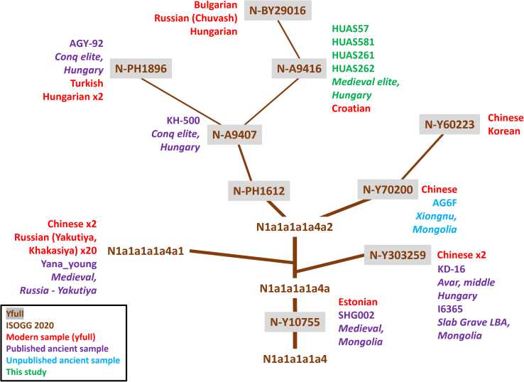 Figure 2