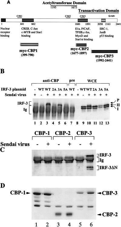 FIG. 8