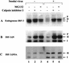 FIG. 7