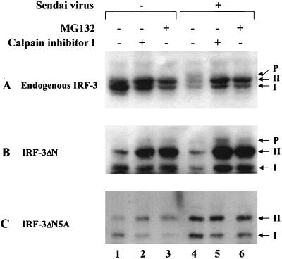 FIG. 7