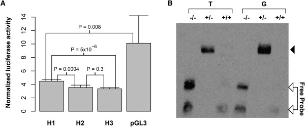 Figure 3