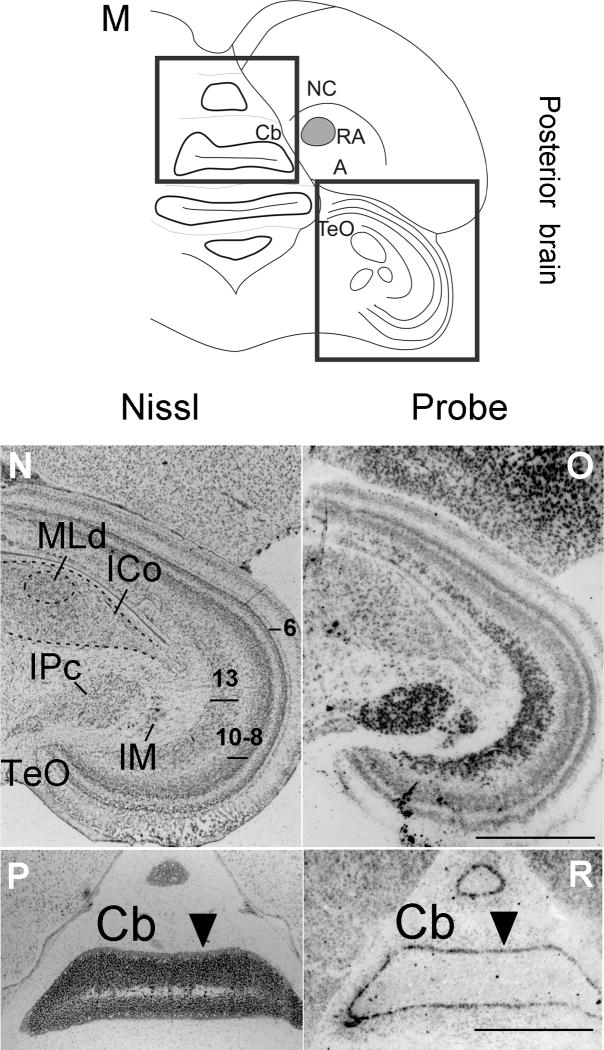 Fig. 14