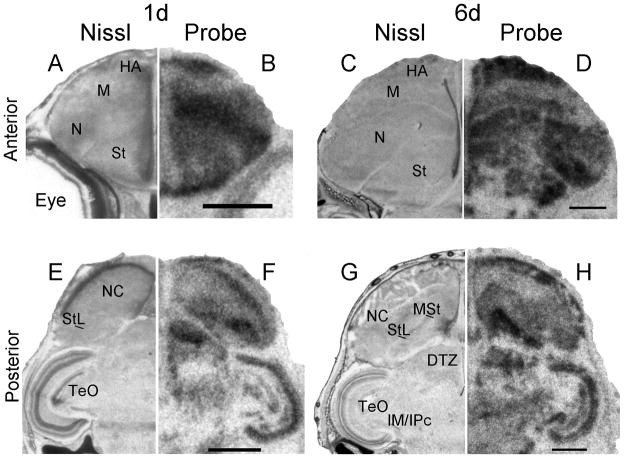 Fig. 14