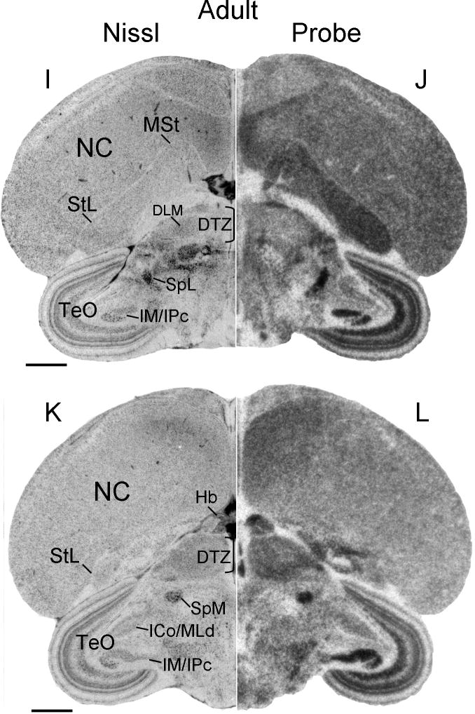 Fig. 14