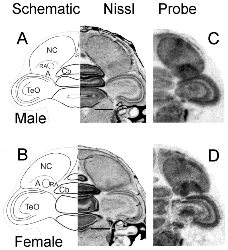 Fig. 10