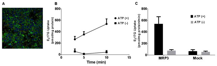 Fig 4