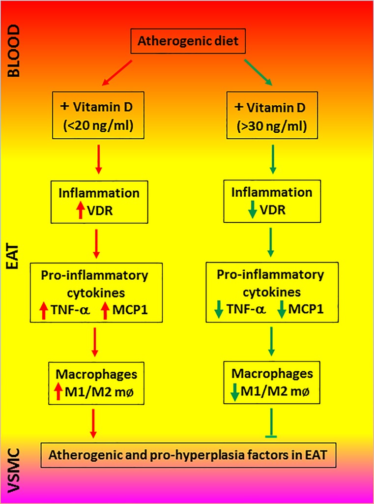 Fig 7