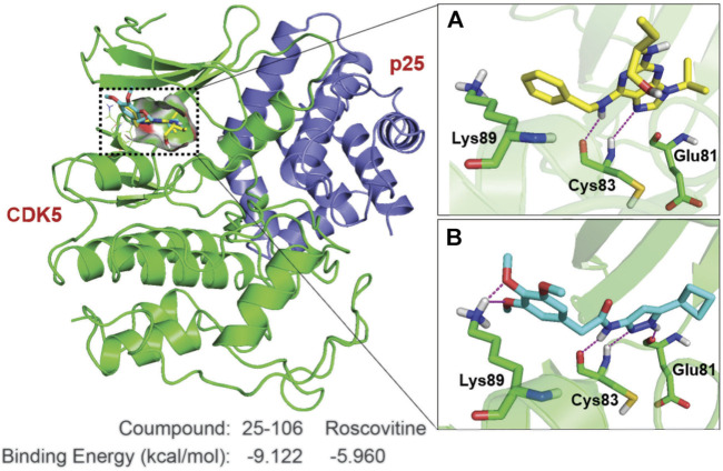 FIGURE 4