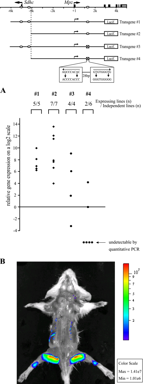 FIGURE 7.