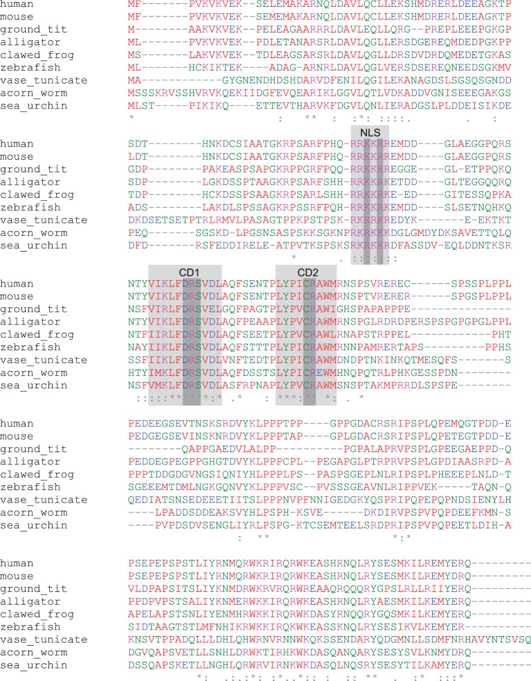 Figure 1—figure supplement 1.