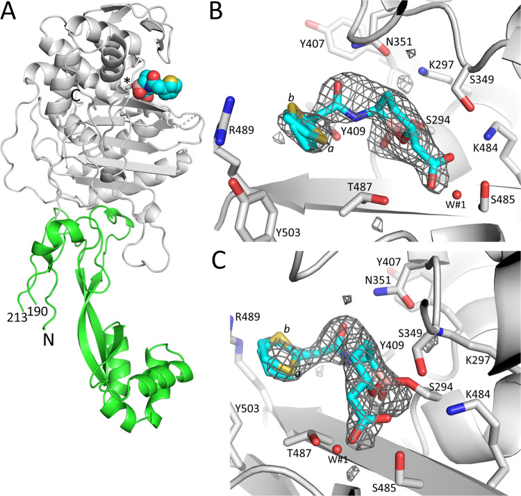 Fig 4