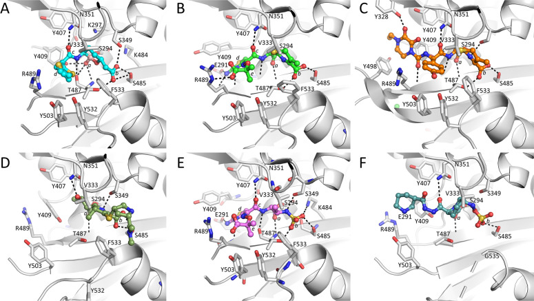 Fig 6