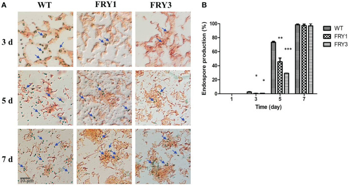 Figure 6