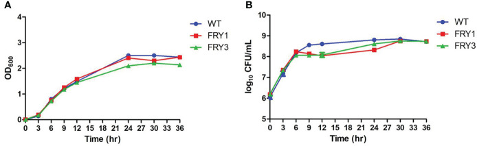 Figure 5