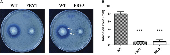 Figure 7