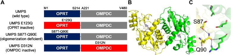 Figure 4