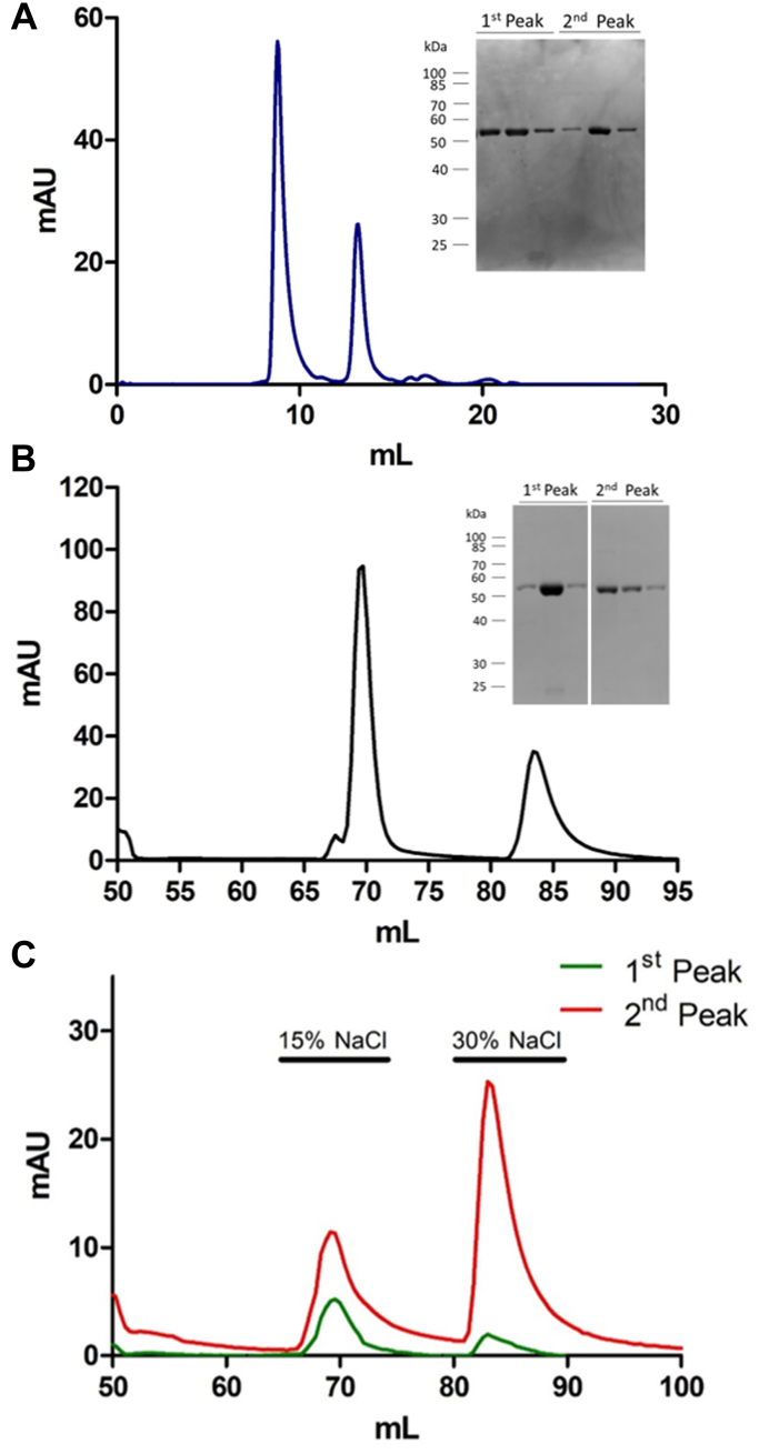 Figure 2