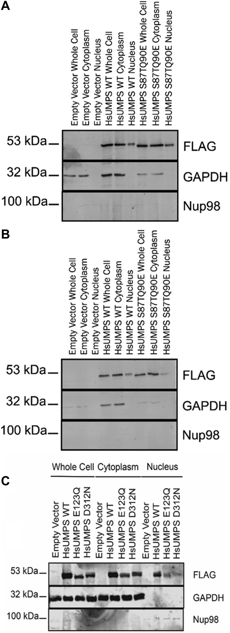 Figure 9