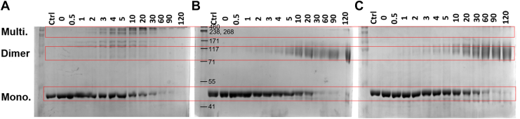 Figure 6