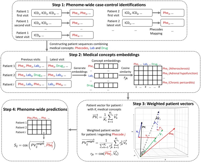 Graphs and diagrams of the proposed PheW2P2V, illustrating four detailed steps, including phenome-wide case-control identifications, medical concepts embeddings, weighted patient vectors tailored for a phenotype, and phenome-wide risk predictions.