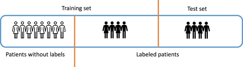 Graphical representation of splitting procedures for training and test samples, including both unlabeled patients and labeled patients.