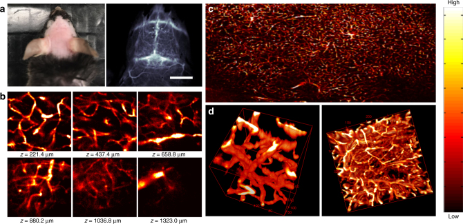 Fig. 3