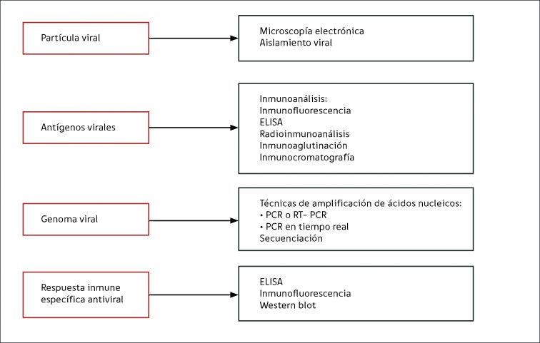 Figura 1