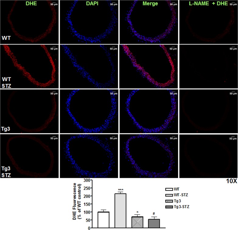 Fig 4