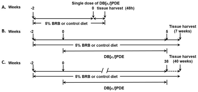 Scheme I