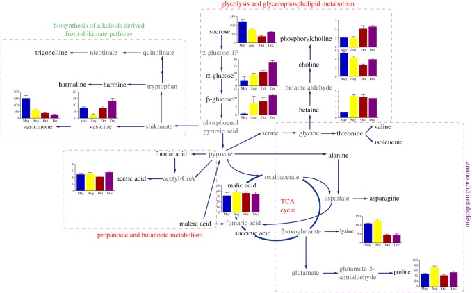 Figure 6.