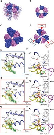 Fig. 4