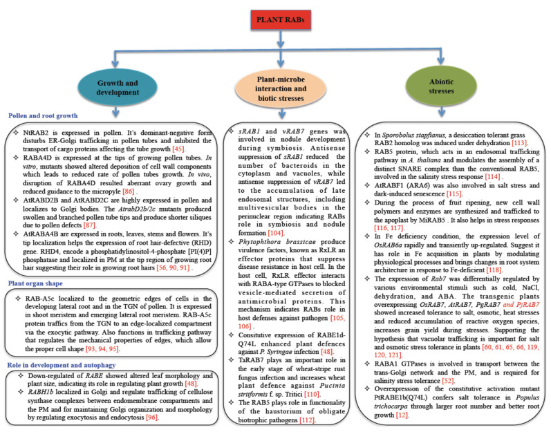 Fig. (3)