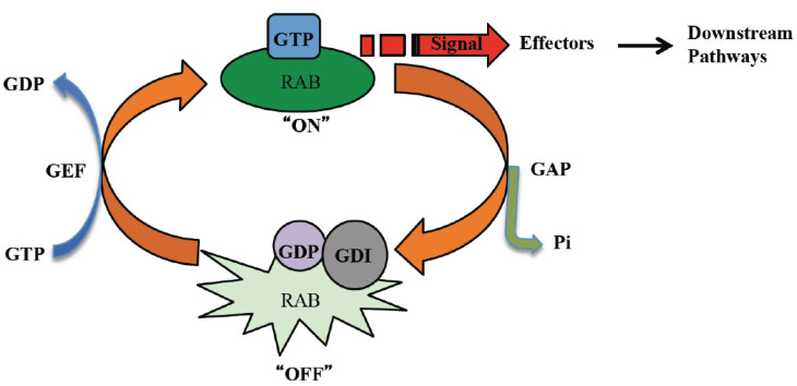 Fig. (2)