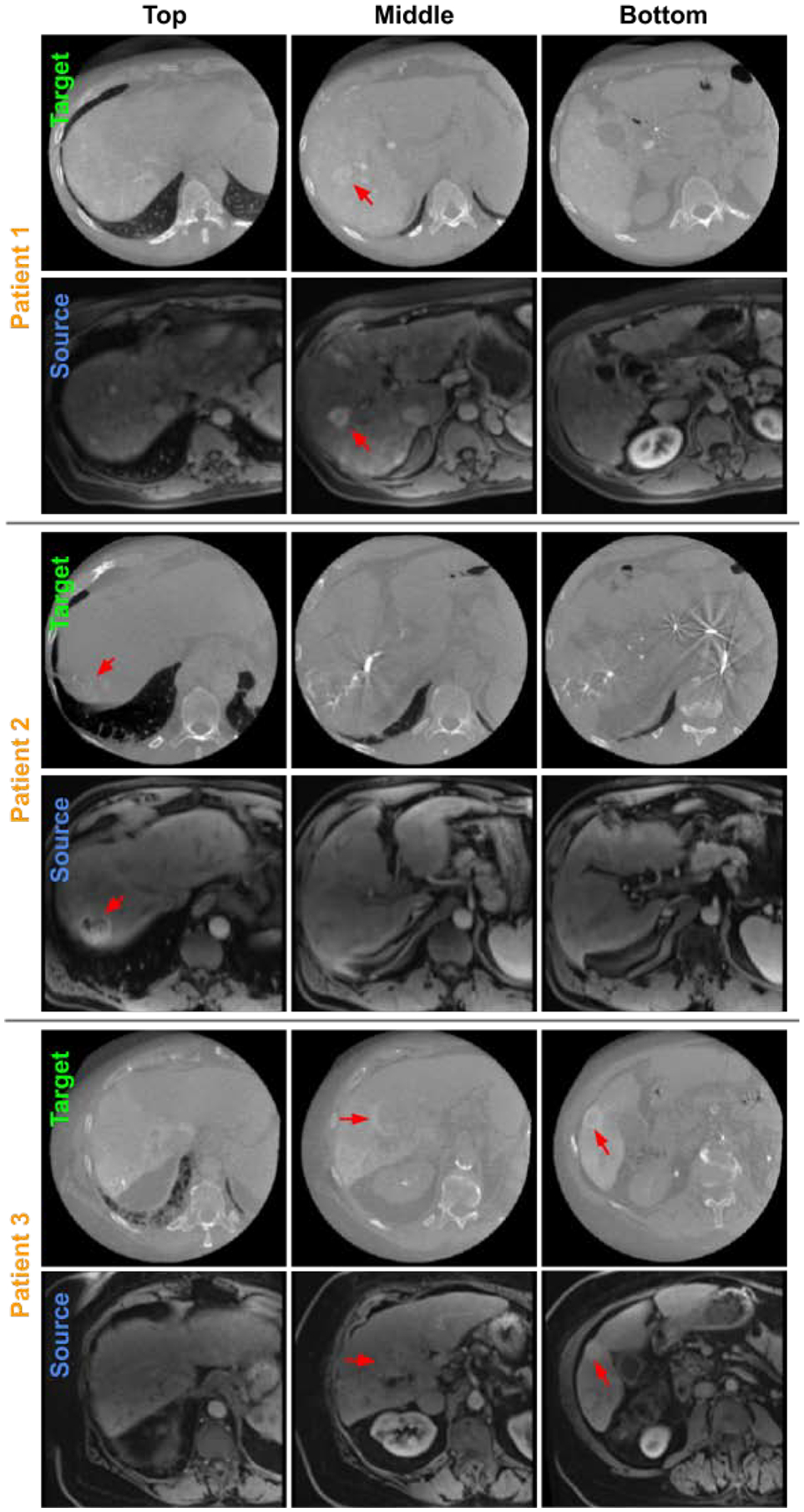 Fig. 8.