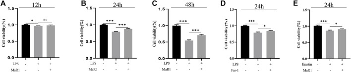 FIGURE 5