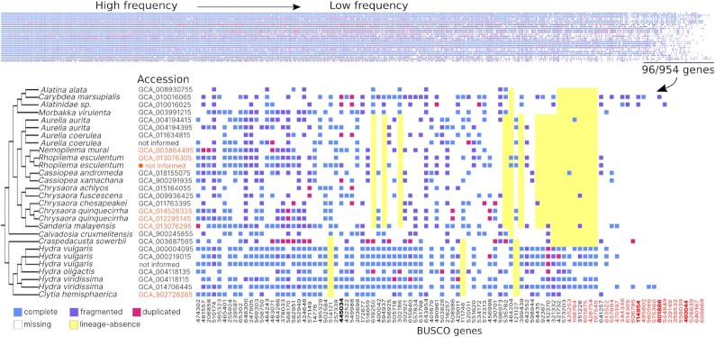 Figure 4: