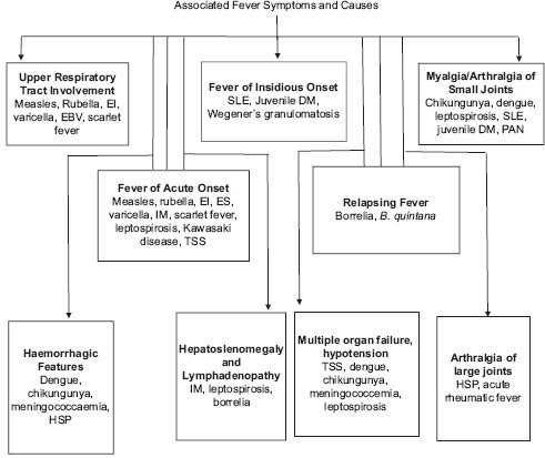 Flowchart 4