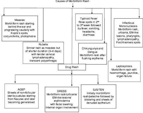 Flowchart 3