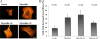 FIG. 2.