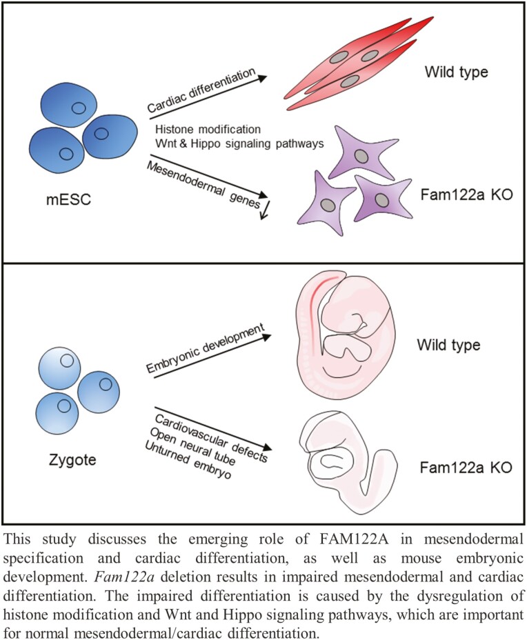 Graphical Abstract