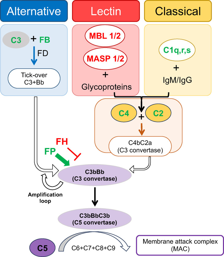 Figure 2.