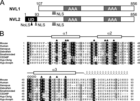 FIGURE 1.