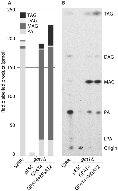 Figure 5